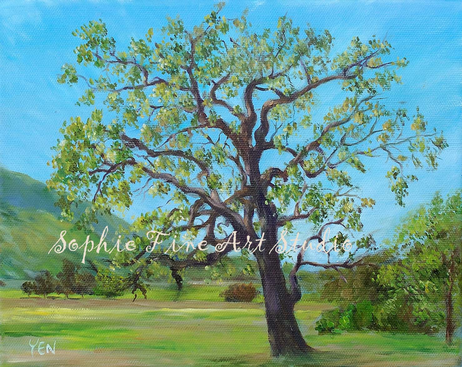 oak tree